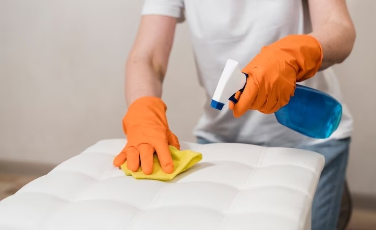 Sofa cleaning services